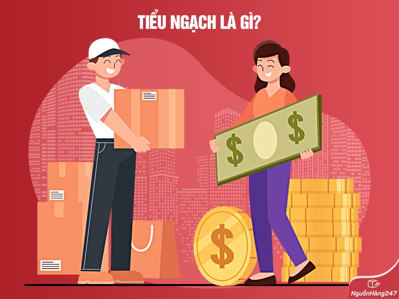 Tiểu ngạch là gì?
