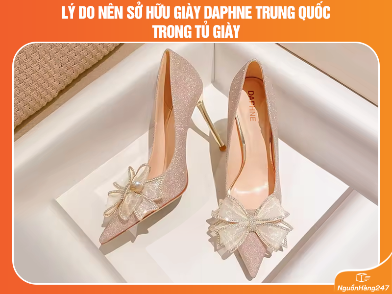 Lý do nên order giày Daphne Trung Quốc