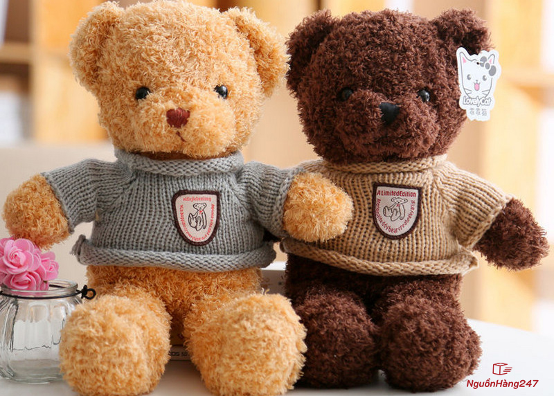 Gấu bông teddy