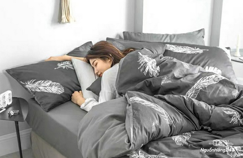 Chăn bông lông vũ