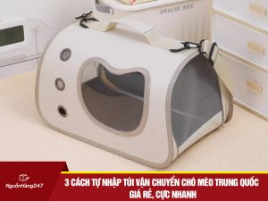 3 cách tự nhập túi vận chuyển chó mèo Trung Quốc giá rẻ, cực nhanh