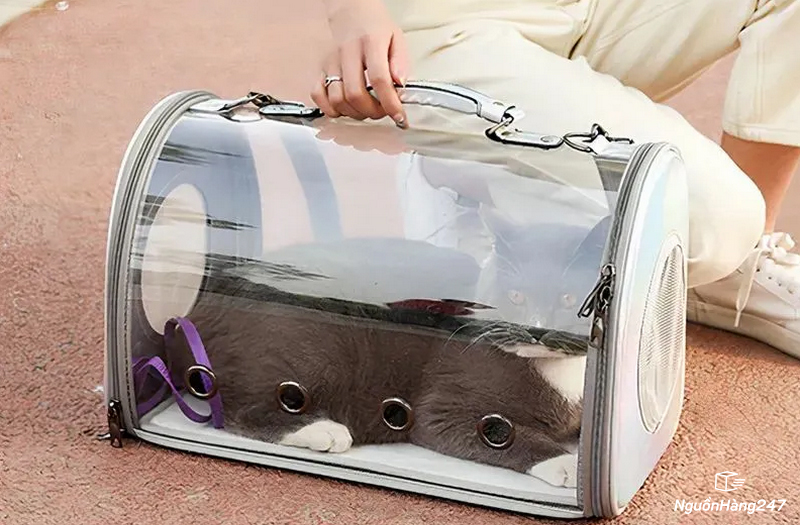 Túi vận chuyển chó mèo trong suốt