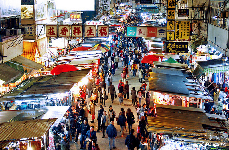 Sang Trung Quốc nhập hàng túi vận chuyển chó mèo