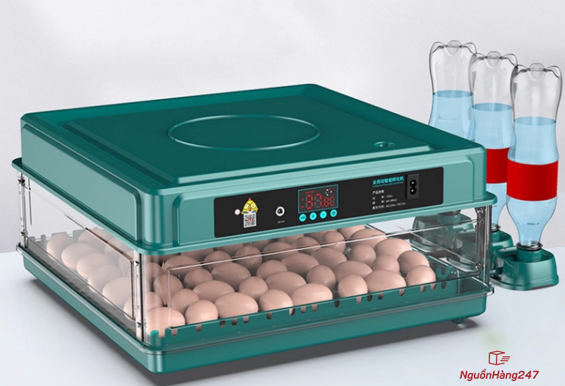 Máy ấp trứng mini