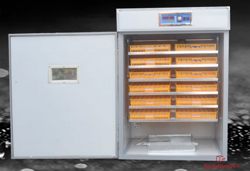 Máy ấp trứng công nghiệp