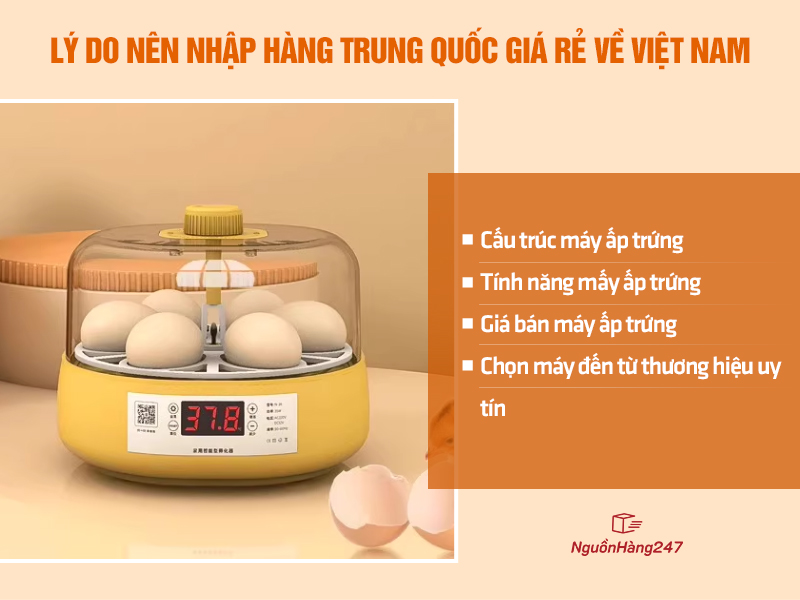 3+ tiêu chí chọn mua máy ấp trứng Trung Quốc các bạn nên biết