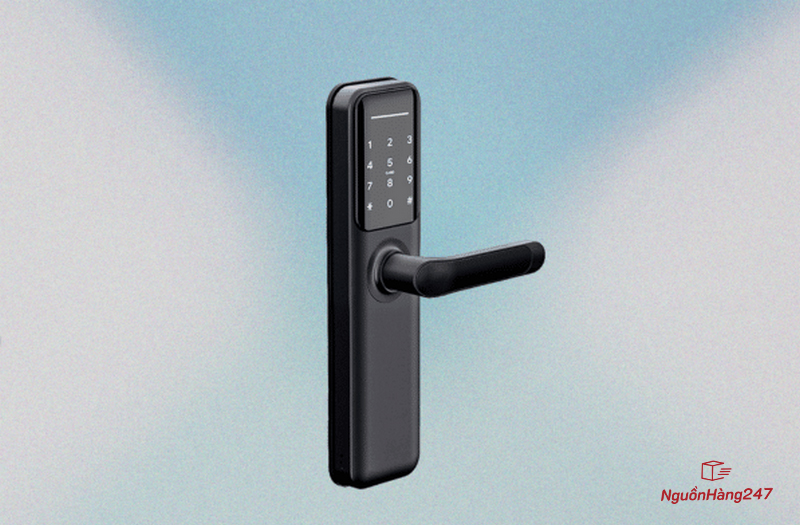 Ổ khóa vân tay Tenon HS2