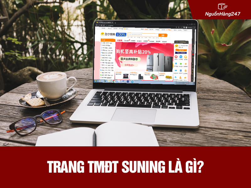Trang TMĐT Suning là gì?