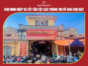 Chợ Ninh Hiệp và tất tần tật các thông tin về khu chợ này