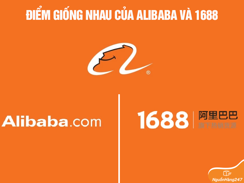So sánh 2 sàn Alibaba và 1688