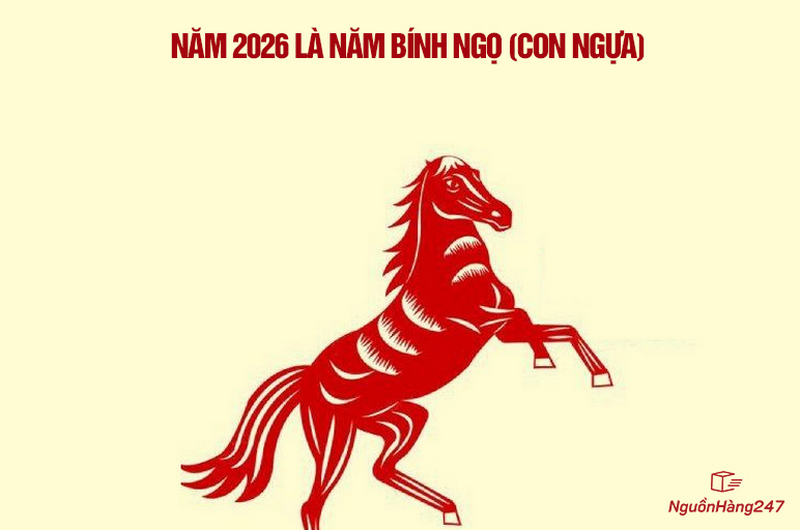 Tết 2026 là năm con gì?