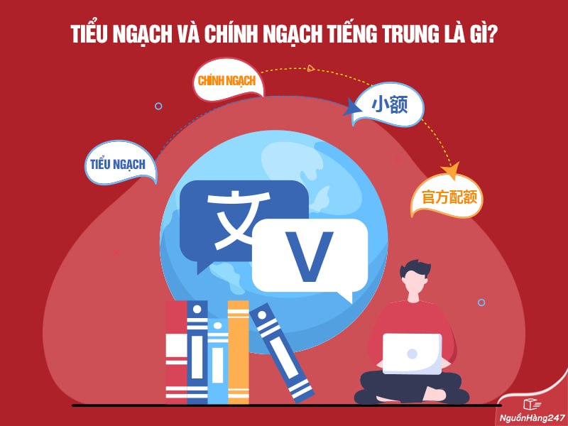 Tiểu ngạch và chính ngạch tiếng trung