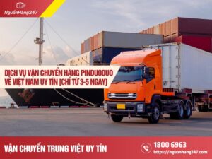 Dịch vụ vận chuyển hàng Pinduoduo giá rẻ, an toàn [Từ 3-5 ngày]