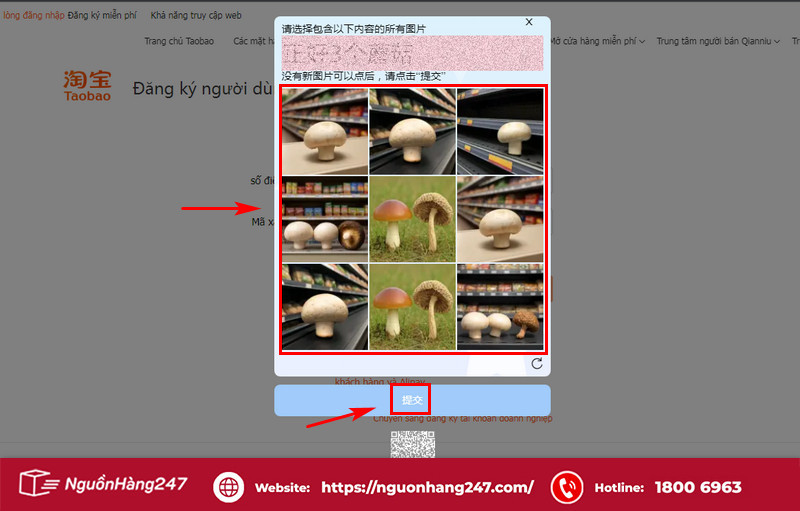 Thực hiện việc xác minh