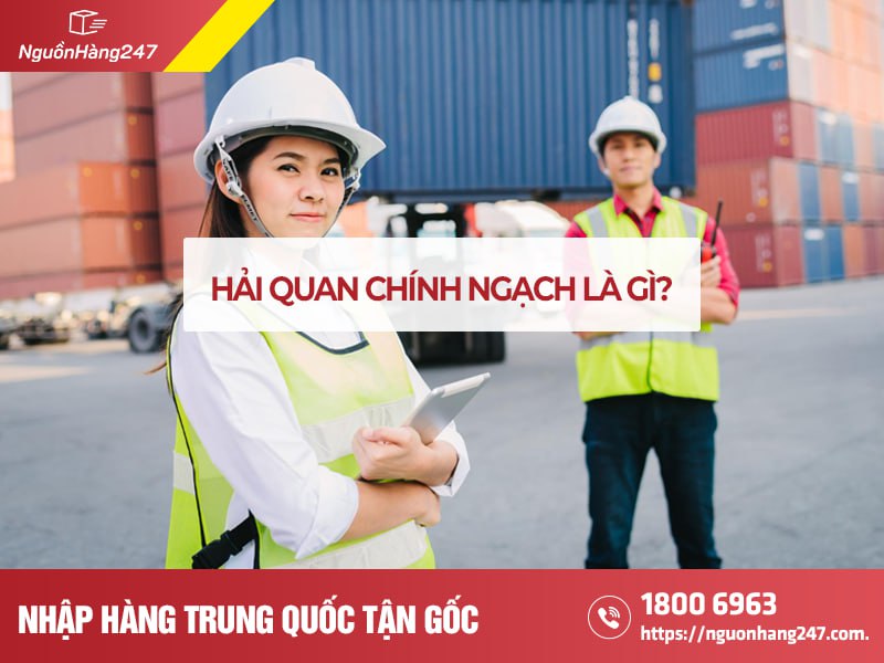 Hải quan chính ngạch là gì? 