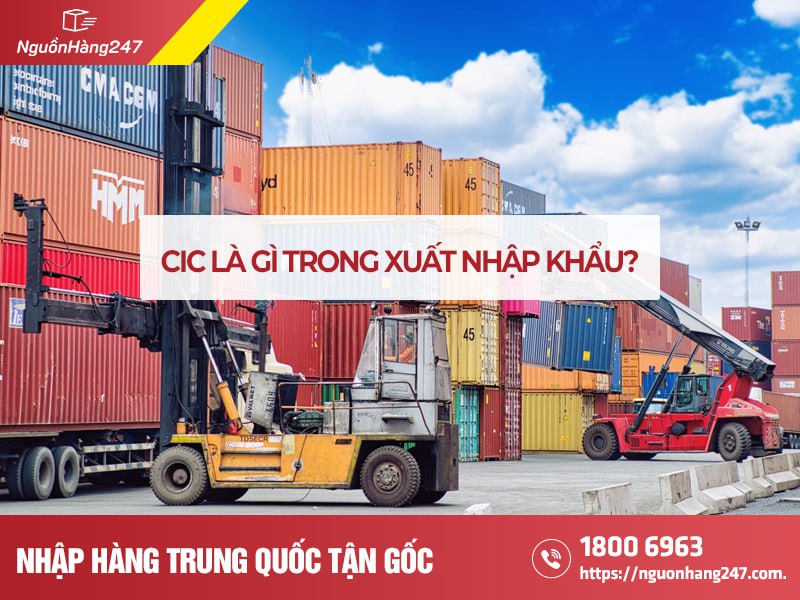 CIC là gì trong xuất nhập khẩu? Thông tin chi tiết về CIC