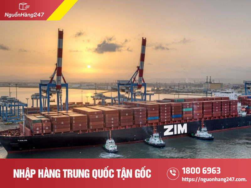 Mức phí CIC là bao nhiêu?