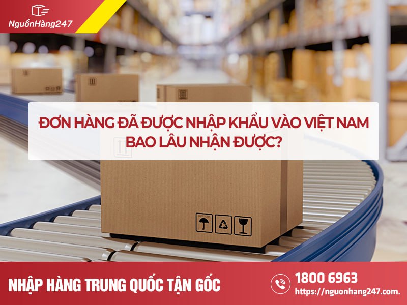 Đơn hàng đã được nhập khẩu vào Việt Nam thì bao lâu nhận được?