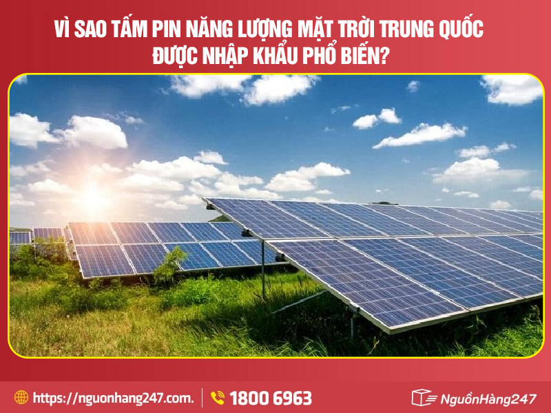 Vì sao tấm pin năng lượng mặt trời Trung Quốc được nhập khẩu phổ biến?