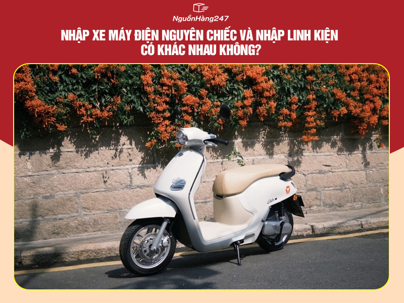 Nhập xe máy điện nguyên chiếc và nhập linh kiện có khác nhau không?