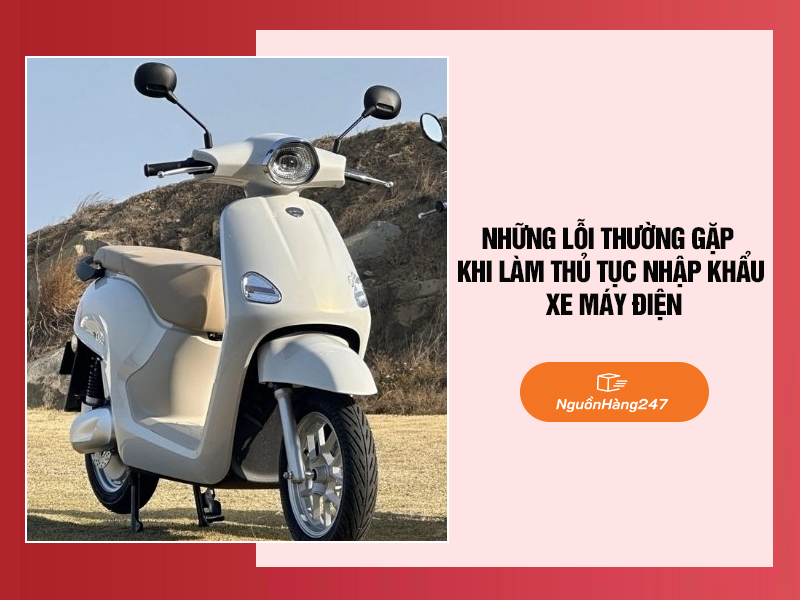 Những lỗi thường gặp khi làm thủ tục nhập khẩu xe máy điện