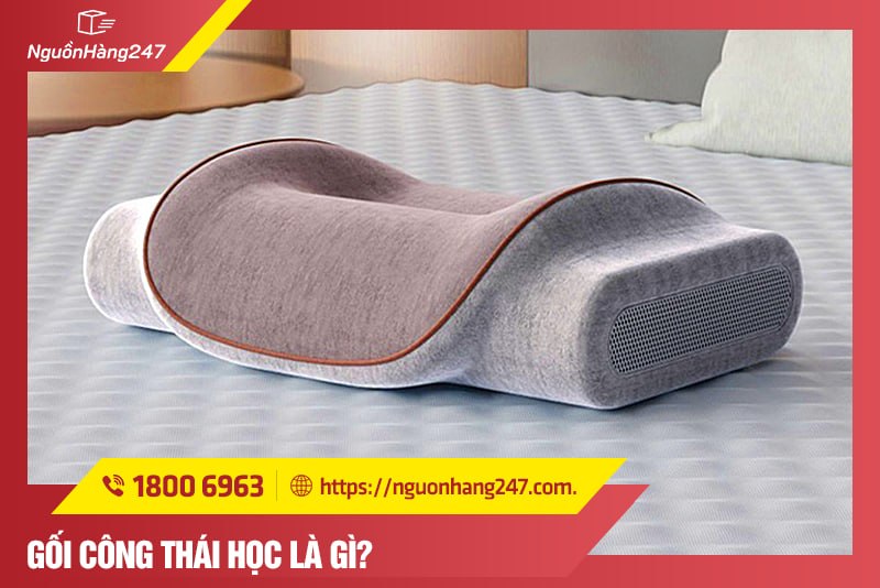 Gối công thái học là gì?